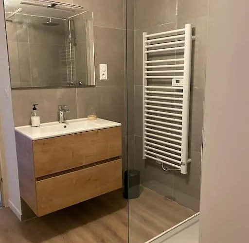 Maison Entiere 6 Personnes Jardin Terrasses Et Garage Holiday home Nancy